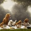 Woof-tastic Delights: The Top Dog-Friendly Dining Spots in Southerness