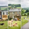 Dog Friendly Holidays UK: Caravans vs Cottages vs Parks